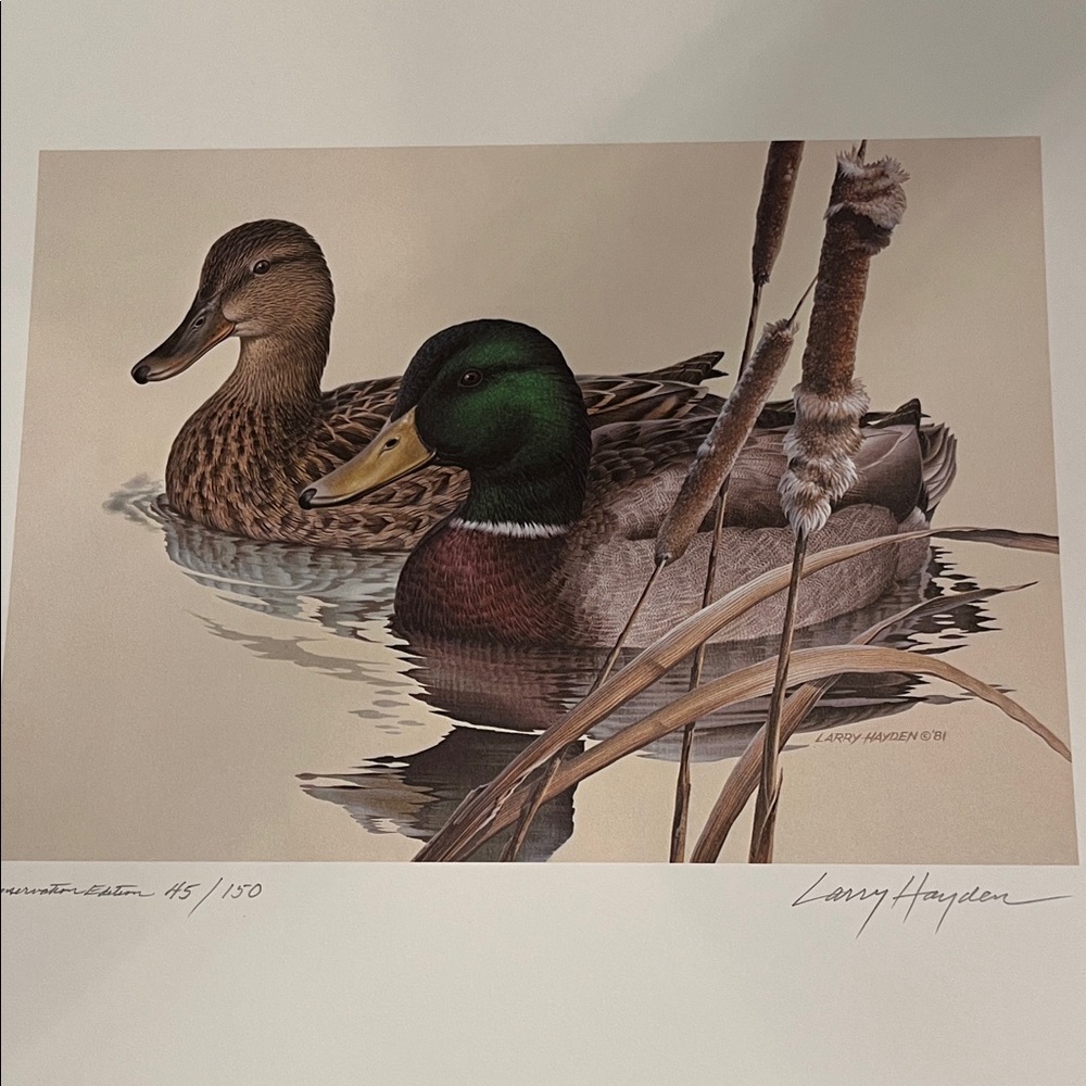Mallards Duck Stamp Print - Picture 2 of 6